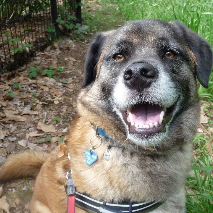 02660567 bef8 4699 9909 1ab6006d78ef 1578003281283