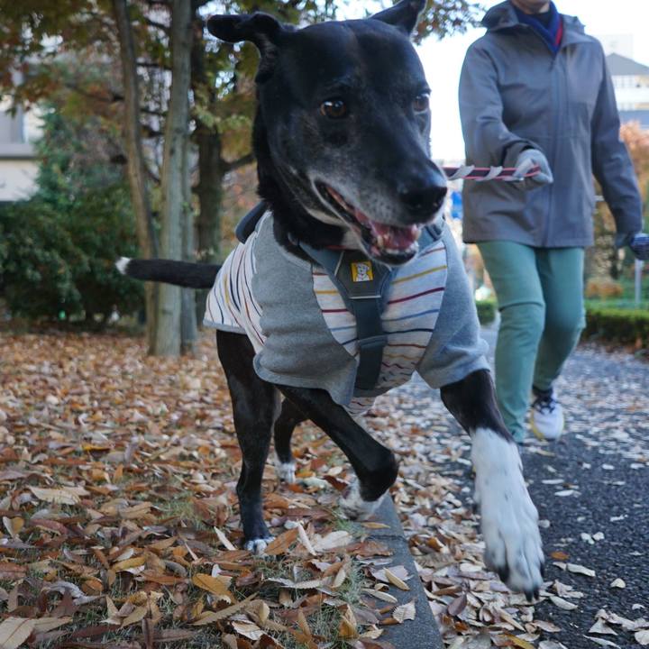 02664abd 206a 4313 8e24 7bc21278f2b8 1763773672722