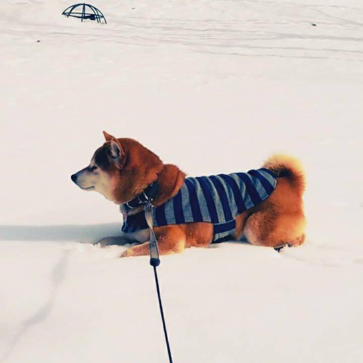 026651b1 a19e 4751 99f4 f082b1dc0d07 1516077397477