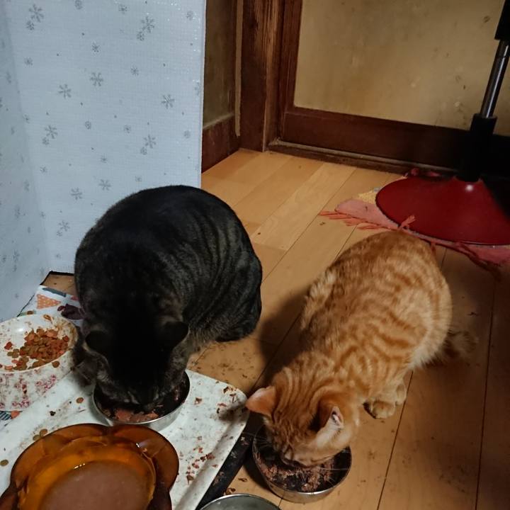 026657ad 4063 48f0 b880 e091ad912e7b 1644228906821