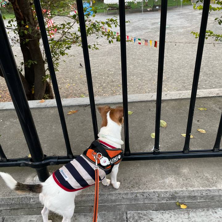 02666316 4751 4539 bb6f eeb7803dc283 1692407836455