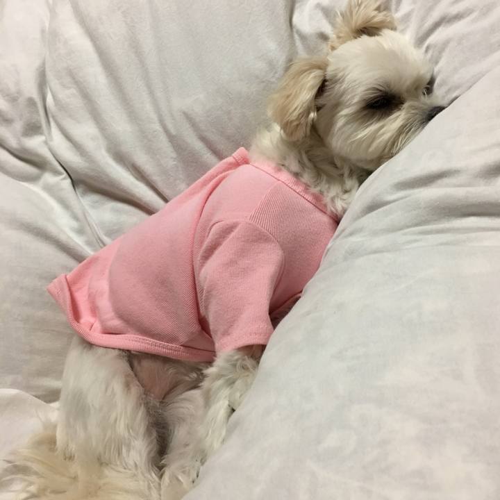 02666c53 8b22 4e81 a22b 907687c4b69e 1510490709469