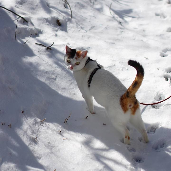 0266755b c0d9 4f10 bf55 60676b3888f8 1585787031884