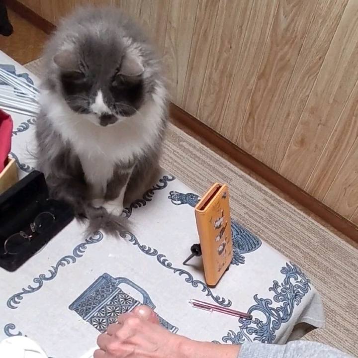 0266ce85 5ad1 4632 ad99 ec6c38df0d56 1678099626085