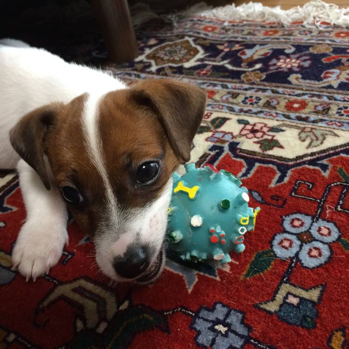 0266eada 6ec0 478e 879d 3c9d1c56dba5 1510622990326