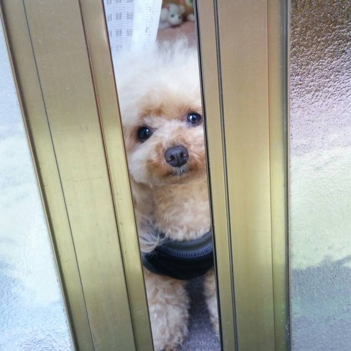 0266f71f f848 48c3 8f8b a0315abc50f8 1559780894527