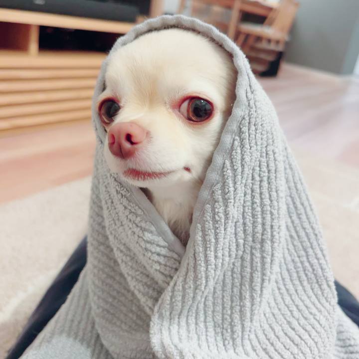 026701a9 76c5 4ac9 b1c6 3199af775aee 1700221667557