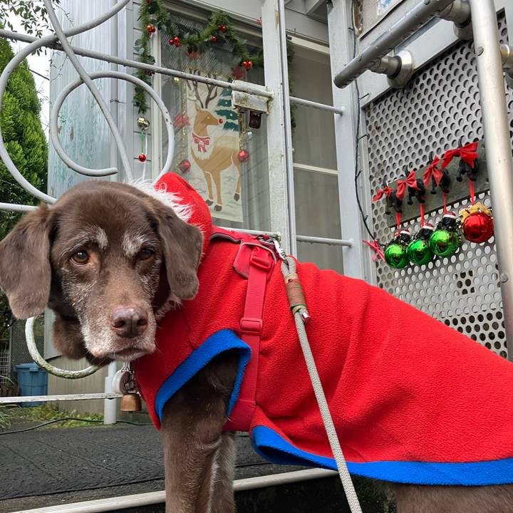 02671ab1 adfb 48c3 82d8 bd3d6a82a5e0 1766273822486