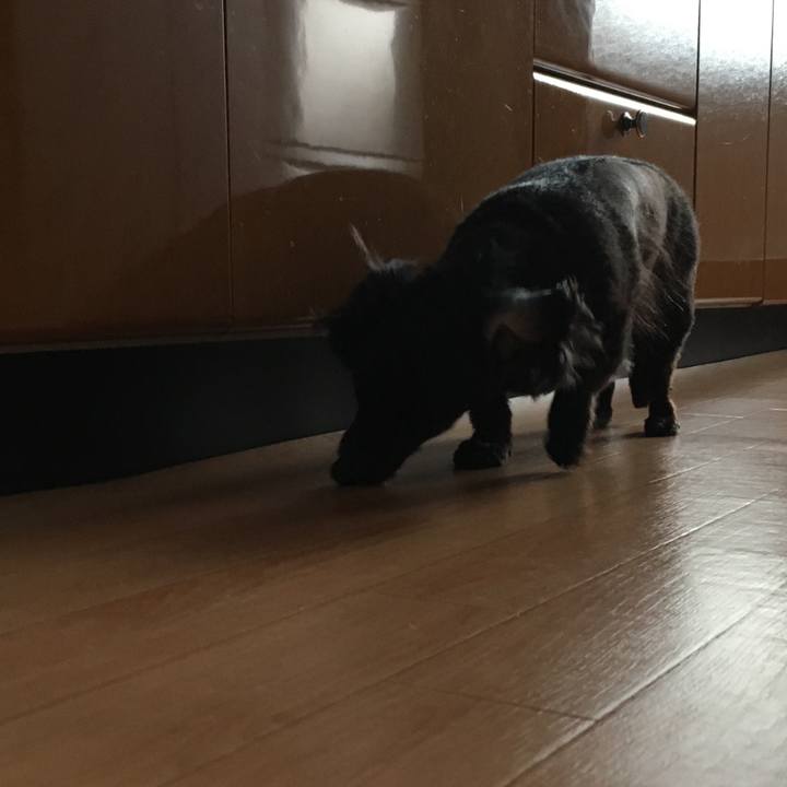 02674af1 2cf8 4079 a892 4fc8d2ce8962 1543357756216