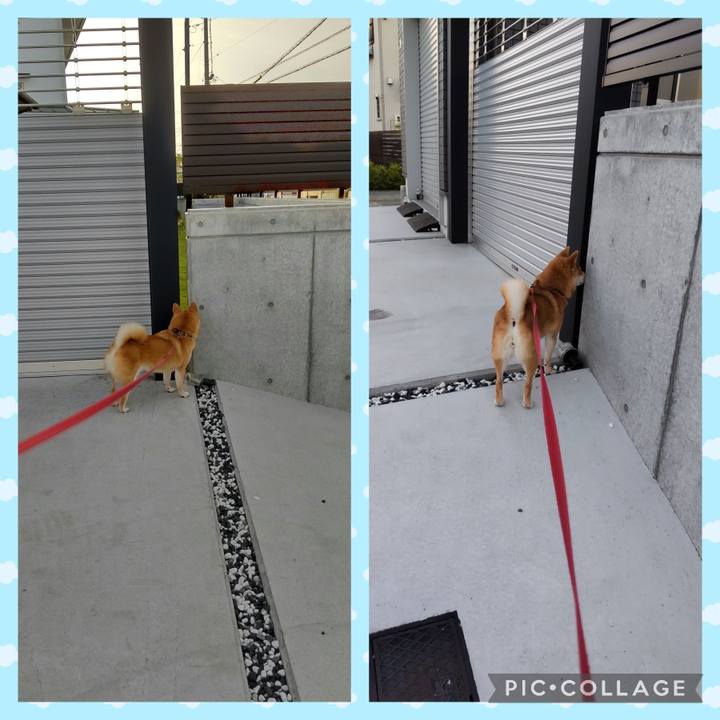 02674b3f c422 4582 9df3 ddce4b729ed9 1752186681577