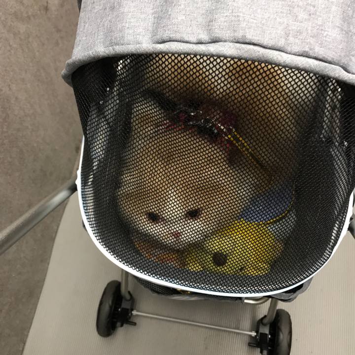 02674f4e e358 4e38 bea6 d22d3a0ad77b 1531571865725