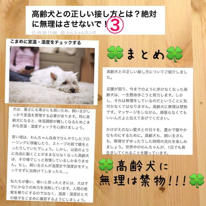 026784bb 68d0 4448 a4c9 33c2e8c063fe 1527749102580