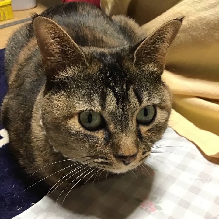 02679e04 e5ed 4e10 959b 898a5ad59188 1736670250460