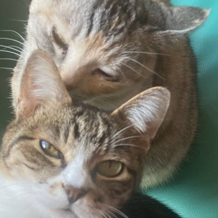 0267ade0 ba91 43bc 94c2 3fcd1e1a5797 1649382376431