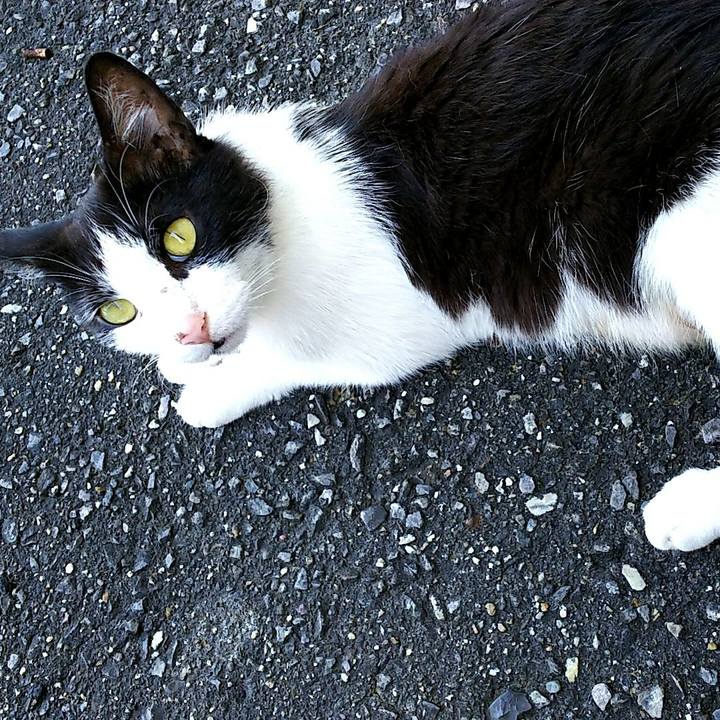 0267b68d 3663 4aae a5fd 36aa84896235 1528865260893