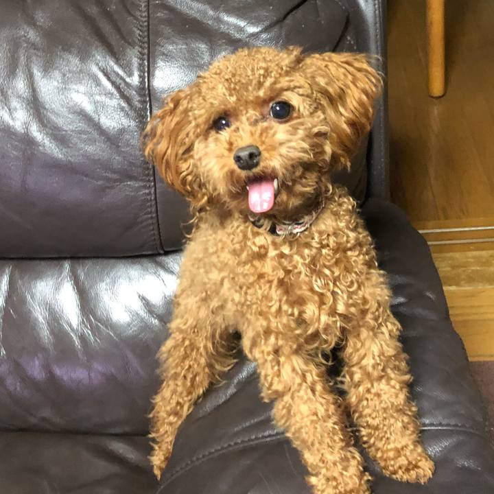 0267df26 8729 46f4 8fe1 8a454960fc9d 1511303169473