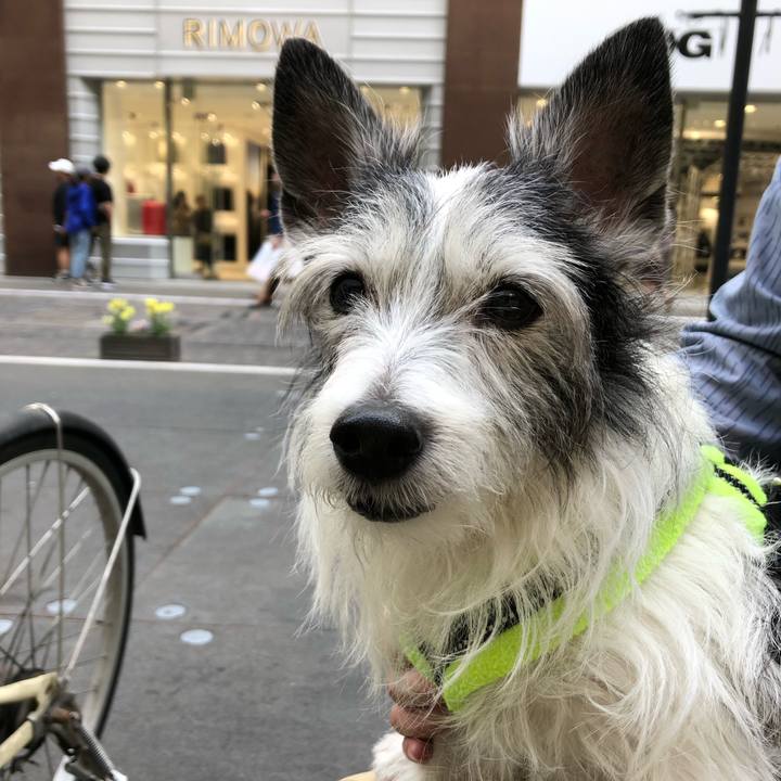 0267e708 089e 4cc5 a786 cec563afdaba 1556882849460