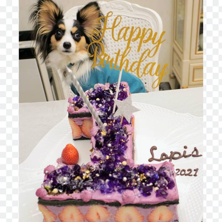 026832bf 214e 45f4 afdc 33cc0dd0bab2 1620053879722