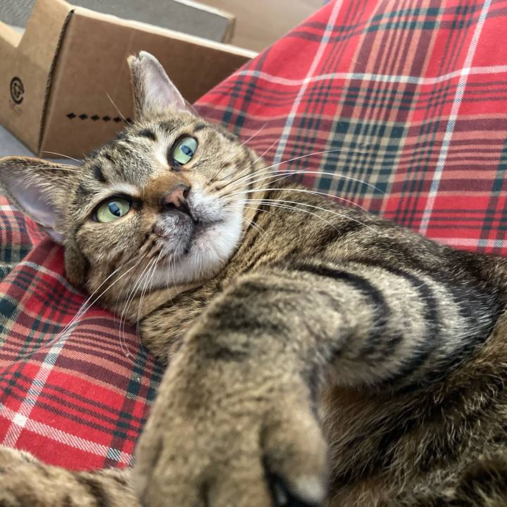 02683515 e598 401c bb17 d77856a9da6e 1648864649535