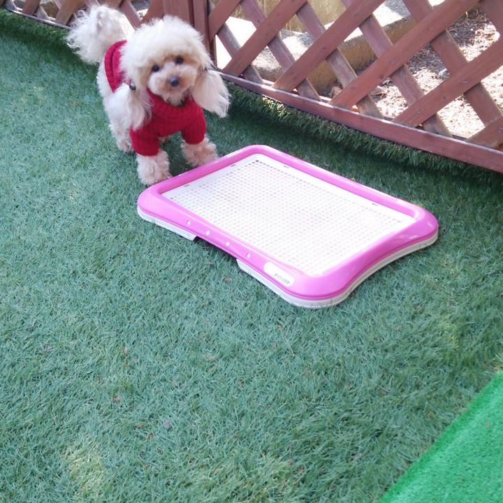 02684030 b6ad 4e3b a31e 4df77b577bc9 1543393516366