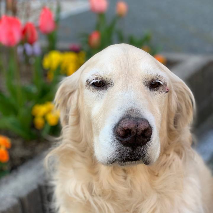 02684ecd 4031 4fec 9283 4de767776a89 1554281837693