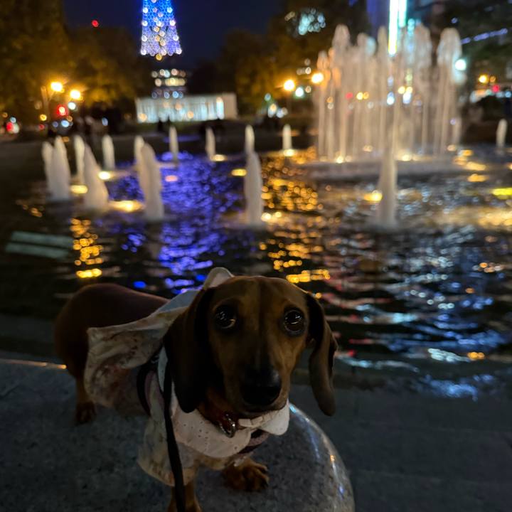 026864b4 b755 4ac3 a69d f7f6330745a8 1759590305650