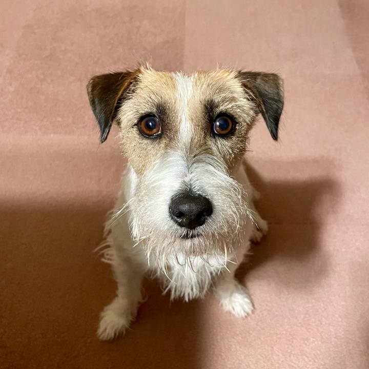 0268a0be bb16 4a2c bf0d b2c5fbd1cacd 1651152899777