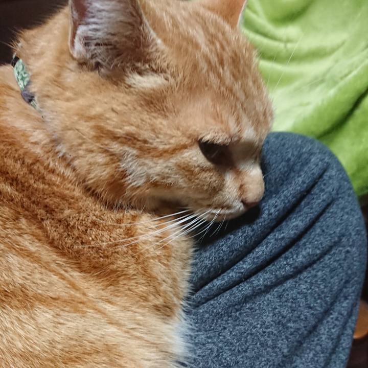 0268b1be e279 4f73 a985 6f48d426d195 1584010501227