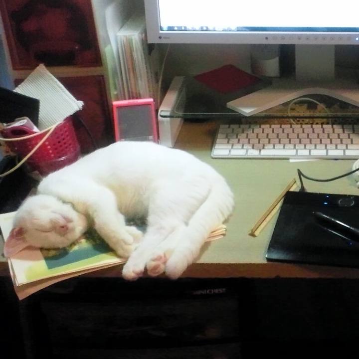 0268c385 982b 4877 be9a c9f67521f125 1509838828989