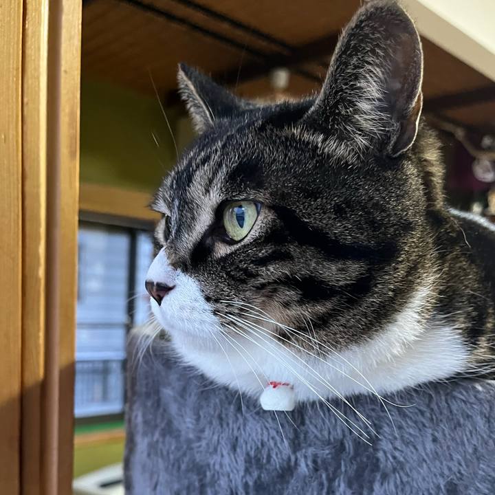 02691c06 8358 455e 9b1d e0ed1f7e62cd 1769214535661