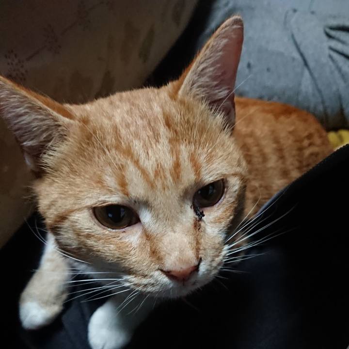 026928f3 e1d1 4b9c a600 13667c5fe83d 1571884427676