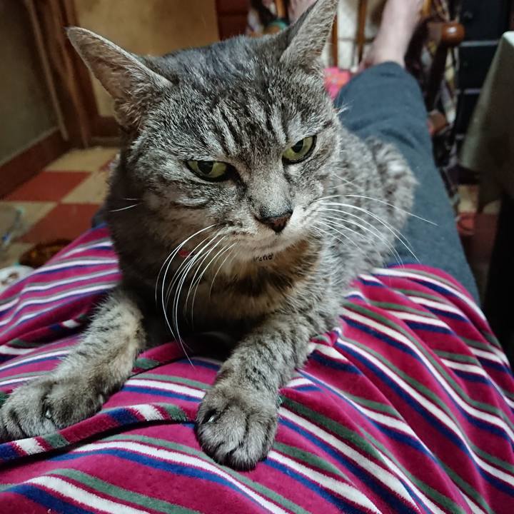 0269556d e29a 45fc bf35 323dd4aa19b7 1578829145862