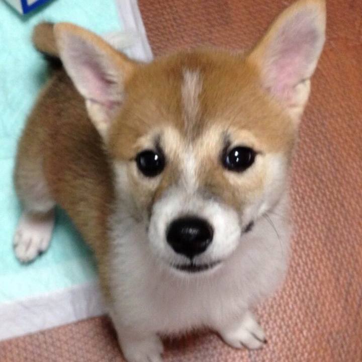 02697493 34de 4ea9 b22c e3aab4065622 1561608234336