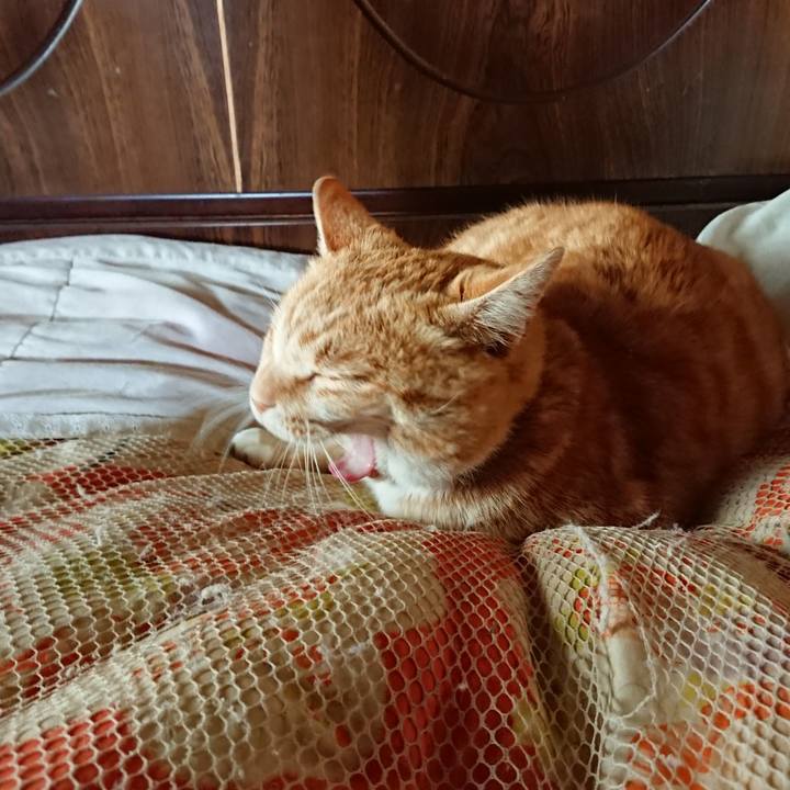 02699902 1631 46b5 b9d1 693cc2c217a5 1584766993092