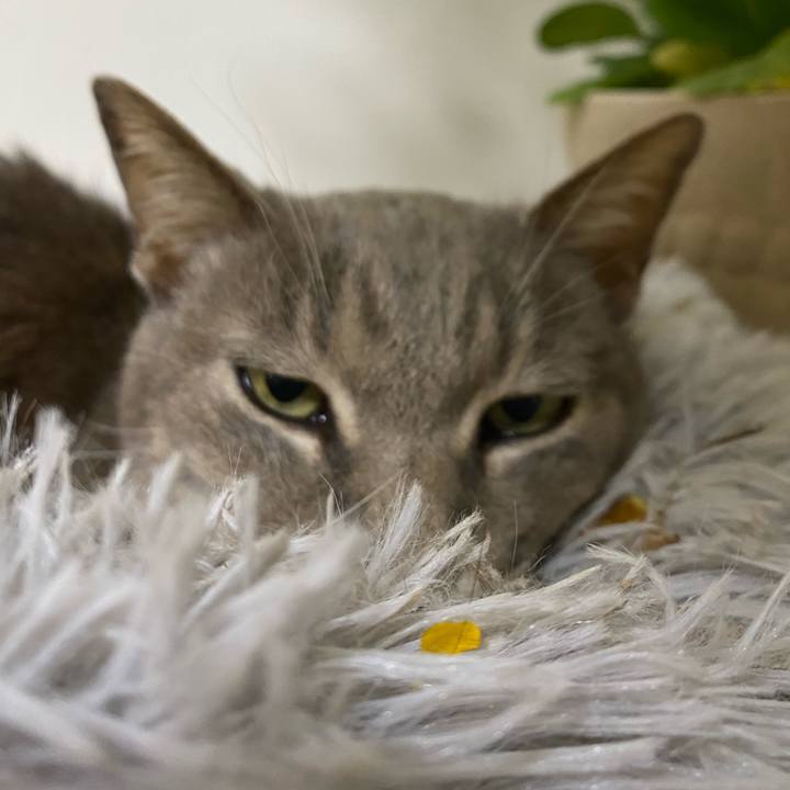 0269daec 6fba 4cce 8729 0f18751be062 1648185087923