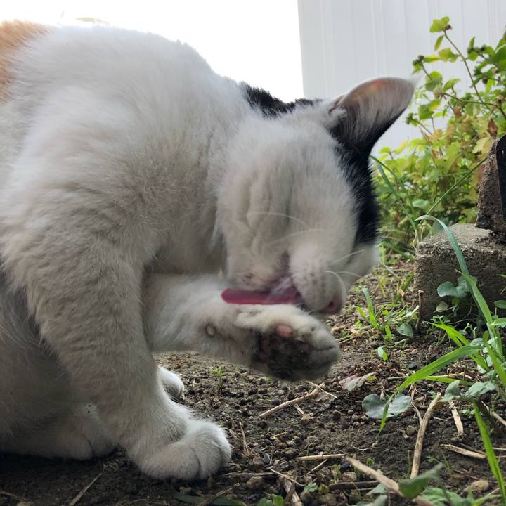 0269e66d b27c 4377 8dcd cf445964e003 1605133384568