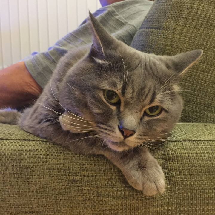 0269e958 c652 4573 8cbb b9c60fe820fc 1534461972349