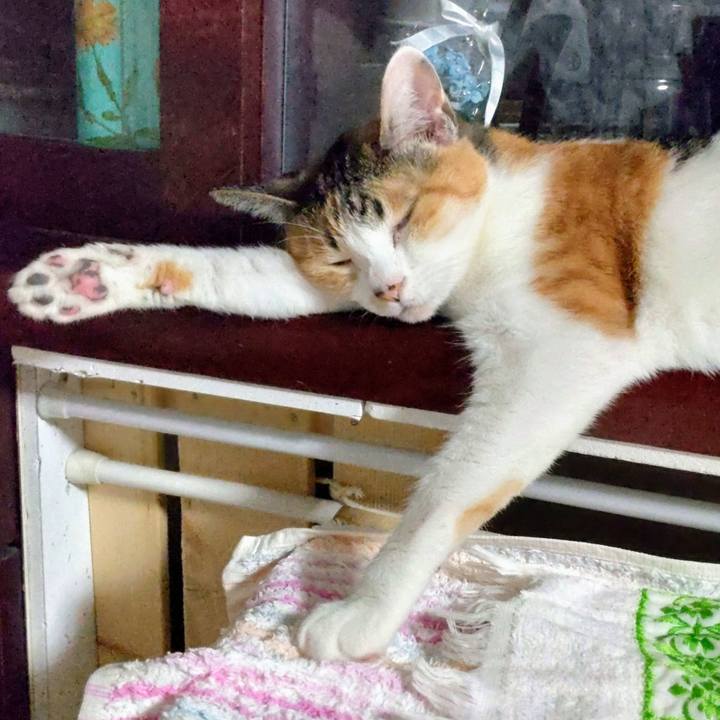 0269f4ae c44b 4e44 9588 d4d35324ff1e 1672306042070