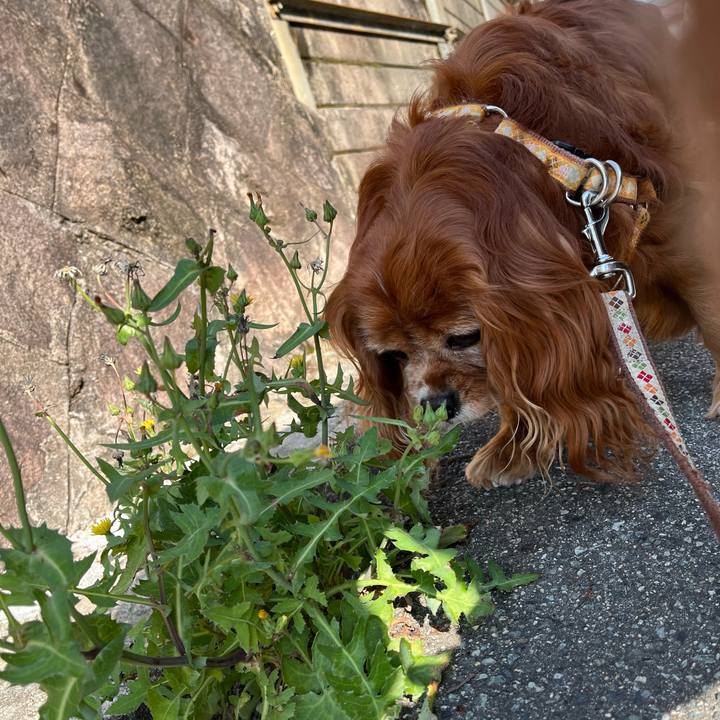 026a324b 9a1c 4ea8 bd77 64b30af015a7 1746228271604