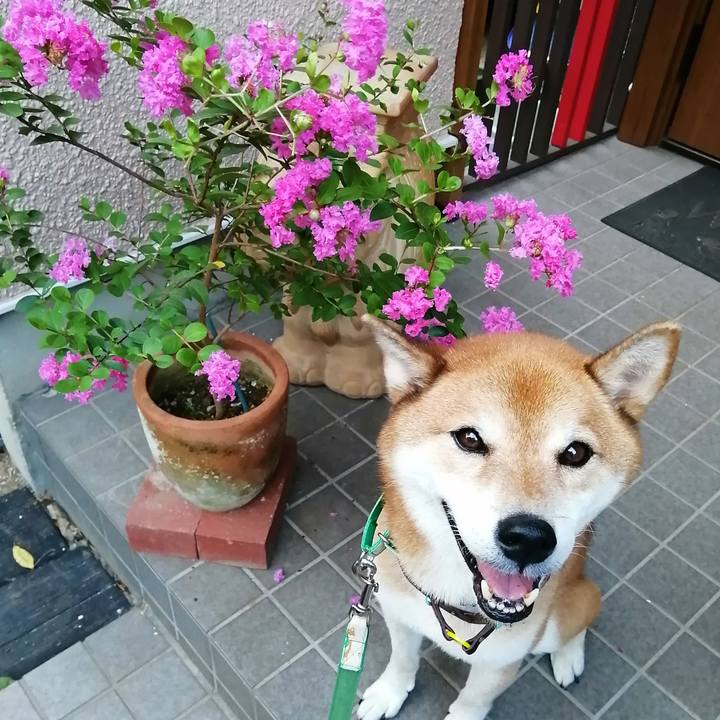 026a49eb 0f18 4fc3 ad15 10b1f8d5120d 1663410322673