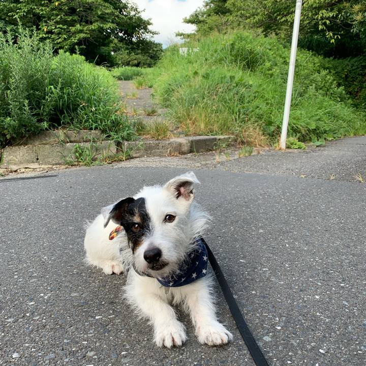 026a9c8c a228 44d1 b0ed e3cfb1fb8ac2 1722466576729