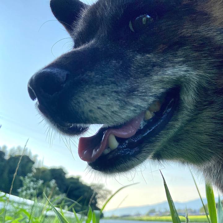 026aa2a9 62af 47ef a726 3af1d655d97c 1597913296600