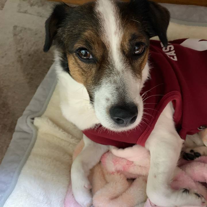 026ad3f3 611e 43b9 8a79 4444ee3cb0d8 1581156062293