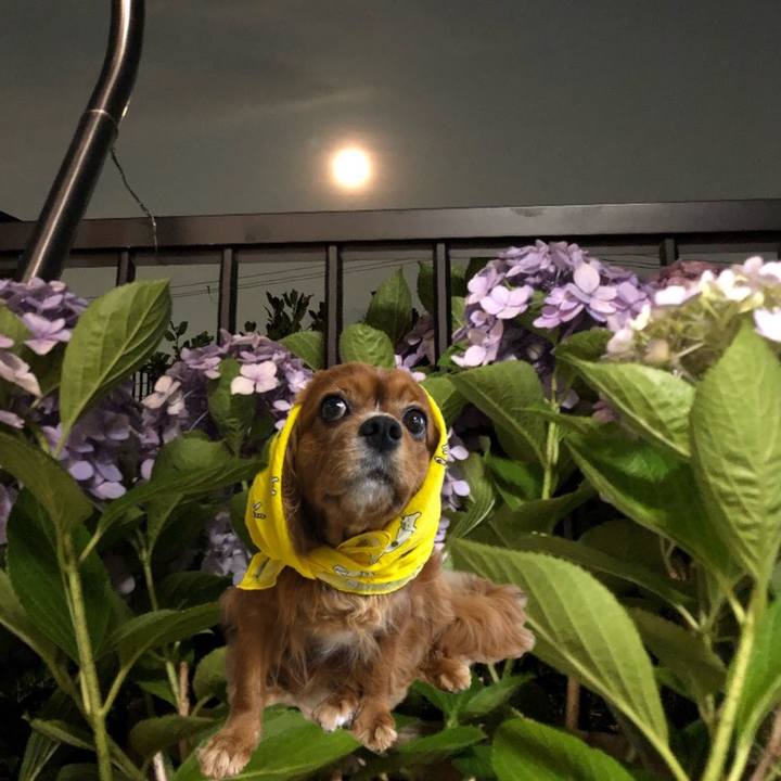 026ad525 c850 428a 824c aef6e30aa991 1624632922287