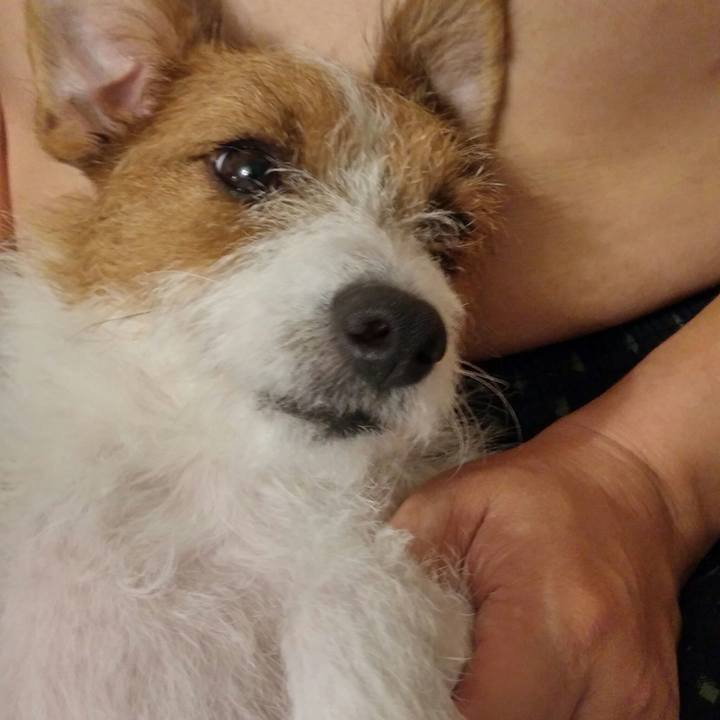 026adeb2 6321 4582 ad33 ad10b4c89dab 1537535524988