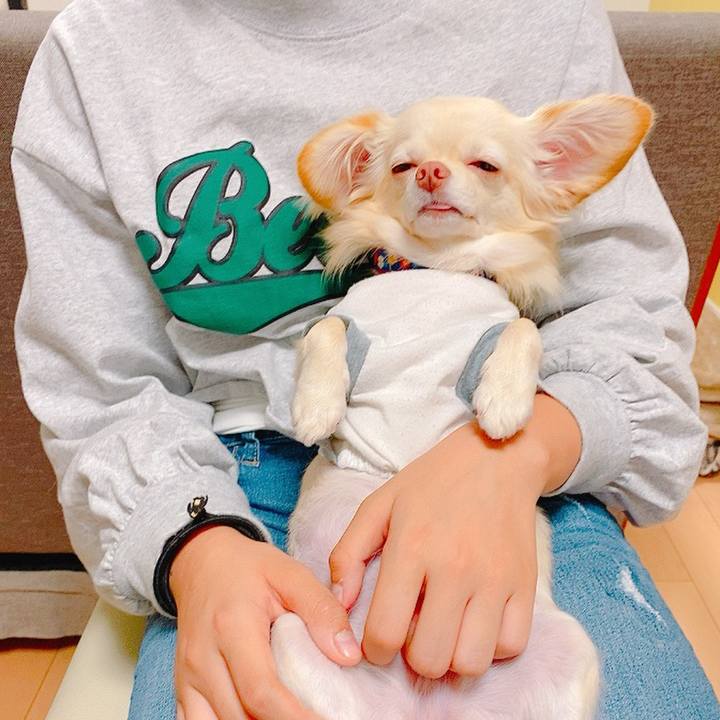 026ae23d 0d45 4239 879c 55cc02d4b9be 1634457692765