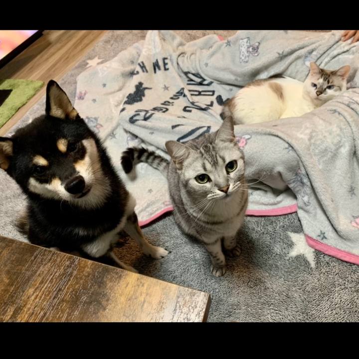 026aff1f 4a2c 4846 951f 28a994686585 1636880681019