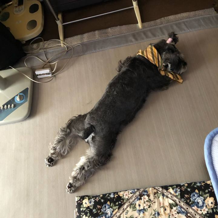 026b0e05 c9d7 4f26 88d8 73f186230411 1626506103964