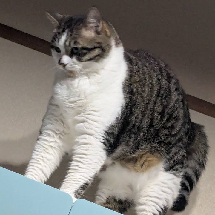 026b2816 b772 408d a285 2b985efa45f7 1751183844527