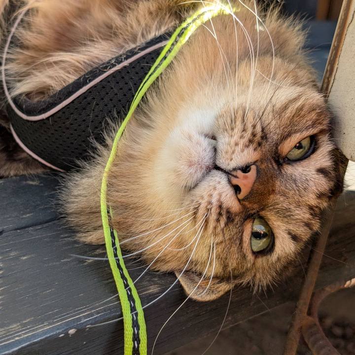 026b5d10 1d12 4186 b775 ef22e6379e87 1770337168717